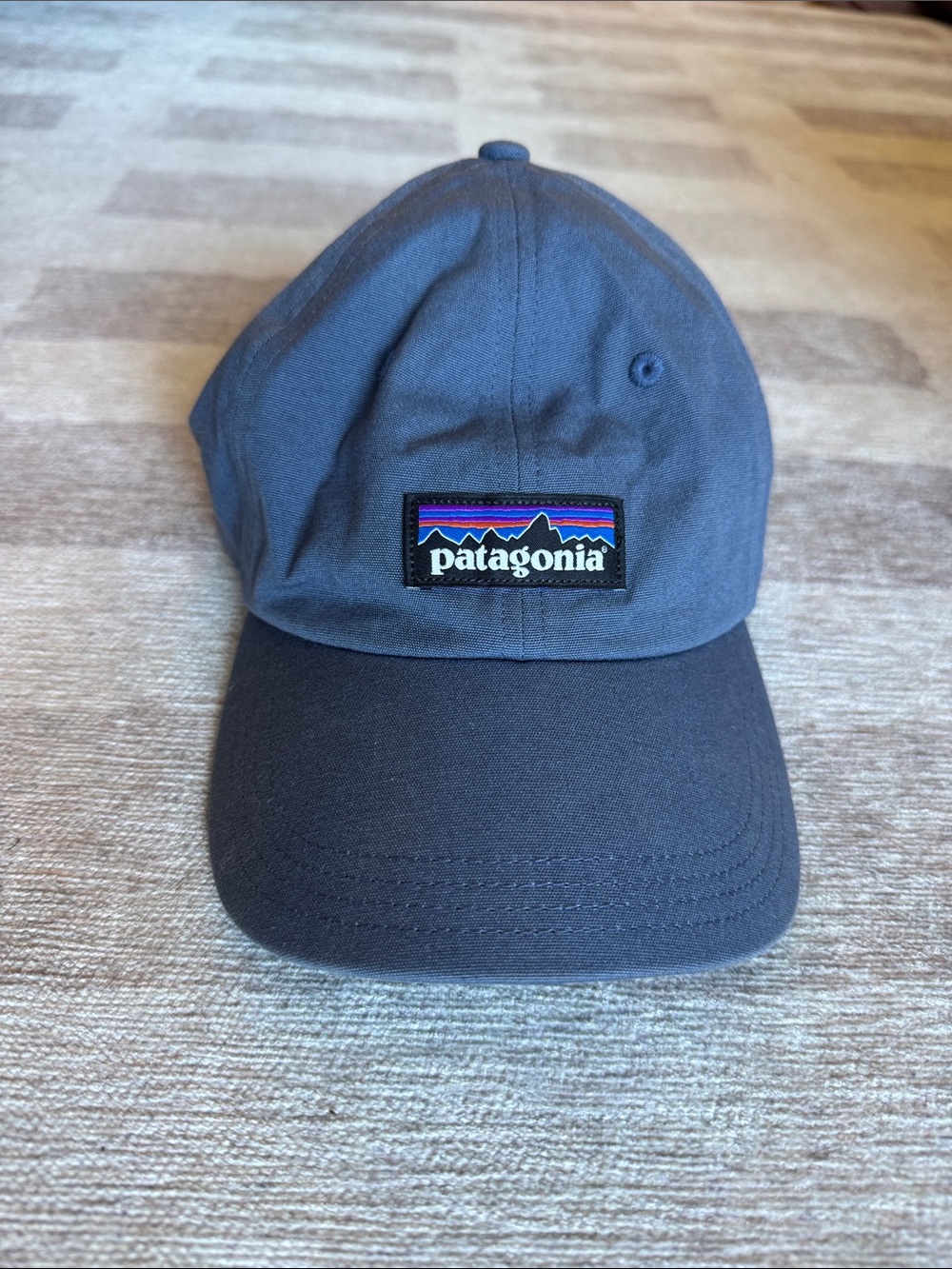 Patagonia Dad Hat